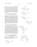 ANTIVIRAL DRUGS FOR TREATMENT OF ARENAVIRUS INFECTION diagram and image