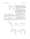 ANTIVIRAL DRUGS FOR TREATMENT OF ARENAVIRUS INFECTION diagram and image