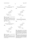 COMPOUNDS ACTING AT MULTIPLE PROSTAGLANDIN RECEPTORS GIVING A GENERAL     ANTI-INFLAMMATORY RESPONSE diagram and image