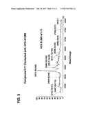 HCV PROTEASE INHIBITORS AND USES THEREOF diagram and image