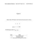 HCV PROTEASE INHIBITORS AND USES THEREOF diagram and image