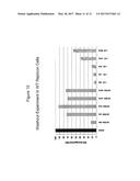 HCV PROTEASE INHIBITORS AND USES THEREOF diagram and image