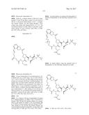 HCV PROTEASE INHIBITORS AND USES THEREOF diagram and image