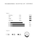 CELL-PERMEABLE (ICP)-SOCS3 RECOMBINANT PROTEIN AND USES THEREOF diagram and image