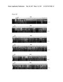 CELL-PERMEABLE (ICP)-SOCS3 RECOMBINANT PROTEIN AND USES THEREOF diagram and image