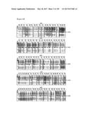 CELL-PERMEABLE (ICP)-SOCS3 RECOMBINANT PROTEIN AND USES THEREOF diagram and image