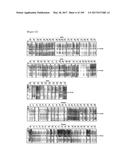 CELL-PERMEABLE (ICP)-SOCS3 RECOMBINANT PROTEIN AND USES THEREOF diagram and image