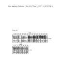 CELL-PERMEABLE (ICP)-SOCS3 RECOMBINANT PROTEIN AND USES THEREOF diagram and image