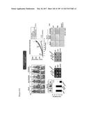 CELL-PERMEABLE (ICP)-SOCS3 RECOMBINANT PROTEIN AND USES THEREOF diagram and image