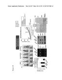 CELL-PERMEABLE (ICP)-SOCS3 RECOMBINANT PROTEIN AND USES THEREOF diagram and image