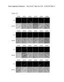 CELL-PERMEABLE (ICP)-SOCS3 RECOMBINANT PROTEIN AND USES THEREOF diagram and image