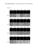 CELL-PERMEABLE (ICP)-SOCS3 RECOMBINANT PROTEIN AND USES THEREOF diagram and image