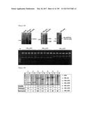 CELL-PERMEABLE (ICP)-SOCS3 RECOMBINANT PROTEIN AND USES THEREOF diagram and image