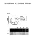 CELL-PERMEABLE (ICP)-SOCS3 RECOMBINANT PROTEIN AND USES THEREOF diagram and image