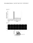 CELL-PERMEABLE (ICP)-SOCS3 RECOMBINANT PROTEIN AND USES THEREOF diagram and image