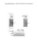 CELL-PERMEABLE (ICP)-SOCS3 RECOMBINANT PROTEIN AND USES THEREOF diagram and image