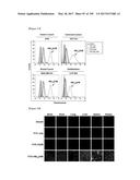 CELL-PERMEABLE (ICP)-SOCS3 RECOMBINANT PROTEIN AND USES THEREOF diagram and image