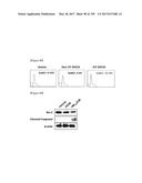 CELL-PERMEABLE (ICP)-SOCS3 RECOMBINANT PROTEIN AND USES THEREOF diagram and image