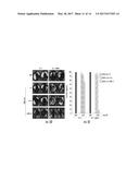 COMPOSITIONS AND METHODS FOR RENDERING TUMOR CELLS SUSCEPTIBLE TO CD8+ T     CELL-MEDIATED KILLING diagram and image