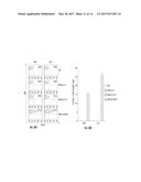 COMPOSITIONS AND METHODS FOR RENDERING TUMOR CELLS SUSCEPTIBLE TO CD8+ T     CELL-MEDIATED KILLING diagram and image