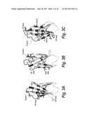 FIBRONECTIN BINDING DOMAINS WITH REDUCED IMMUNOGENICITY diagram and image