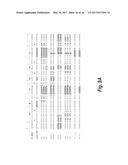 FIBRONECTIN BINDING DOMAINS WITH REDUCED IMMUNOGENICITY diagram and image