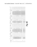 FIBRONECTIN BINDING DOMAINS WITH REDUCED IMMUNOGENICITY diagram and image