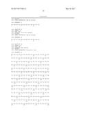 VACCINES AND MONOCLONAL ANTIBODIES TARGETING TRUNCATED VARIANTS OF     OSTEOPONTIN AND USES THEREOF diagram and image