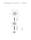 METHODS FOR MODIFYING ZETA POTENTIAL OF ELECTROPHORETIC PARTICLES diagram and image