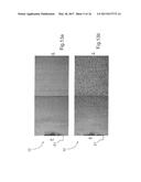 METHOD FOR DETECTING THE PRESENCE OR ABSENCE OF BIOLOGICAL PARTICLES diagram and image