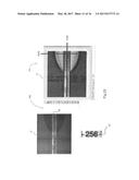 METHOD FOR DETECTING THE PRESENCE OR ABSENCE OF BIOLOGICAL PARTICLES diagram and image