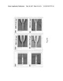 METHOD FOR DETECTING THE PRESENCE OR ABSENCE OF BIOLOGICAL PARTICLES diagram and image