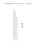 POLYPEPTIDES HAVING ALPHA-GLUCOSIDASE ACTIVITY AND POLYNUCLEOTIDES     ENCODING SAME diagram and image