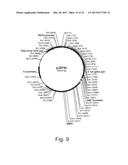 POLYPEPTIDES HAVING ALPHA-GLUCOSIDASE ACTIVITY AND POLYNUCLEOTIDES     ENCODING SAME diagram and image