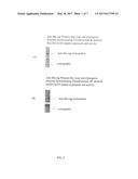 PROTEOGLYCAN DEGRADING MUTANTS FOR TREATMENT OF CNS diagram and image