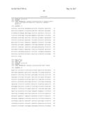 PROTEOGLYCAN DEGRADING MUTANTS FOR TREATMENT OF CNS diagram and image