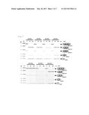 NUCLEIC ACID DRUG FOR INDUCING SKIPPING OF VARIANT EXON OF CD44 GENE AND     INCREASING EXPRESSION OF NORMAL TYPE CD44 MRNA diagram and image