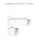 NUCLEIC ACID DRUG FOR INDUCING SKIPPING OF VARIANT EXON OF CD44 GENE AND     INCREASING EXPRESSION OF NORMAL TYPE CD44 MRNA diagram and image