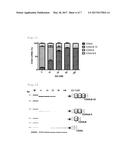 NUCLEIC ACID DRUG FOR INDUCING SKIPPING OF VARIANT EXON OF CD44 GENE AND     INCREASING EXPRESSION OF NORMAL TYPE CD44 MRNA diagram and image