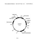 PLANTS WITH ENGINEERED ENDOGENOUS GENES diagram and image