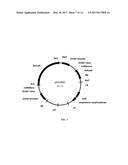 PLANTS WITH ENGINEERED ENDOGENOUS GENES diagram and image