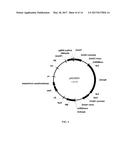 PLANTS WITH ENGINEERED ENDOGENOUS GENES diagram and image