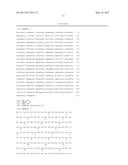 MICROORGANISM PRODUCING O-ACETYL-HOMOSERINE AND METHOD FOR PRODUCING     O-ACETYLHOMOSERINE USING THE SAME diagram and image