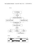 STRATEGIES FOR HIGH THROUGHPUT IDENTIFICATION AND DETECTION OF     POLYMORPHISMS diagram and image