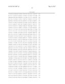 MECP2E1 GENE diagram and image