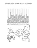 HEAT TREATABLE ALUMINUM ALLOYS HAVING MAGNESIUM AND ZINC AND METHODS FOR     PRODUCING THE SAME diagram and image