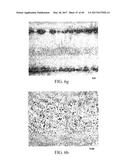 HEAT TREATABLE ALUMINUM ALLOYS HAVING MAGNESIUM AND ZINC AND METHODS FOR     PRODUCING THE SAME diagram and image