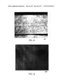 HEAT TREATABLE ALUMINUM ALLOYS HAVING MAGNESIUM AND ZINC AND METHODS FOR     PRODUCING THE SAME diagram and image