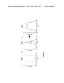 NANOPORE-BASED DETERMINATION OF PROTEIN CHARGE, SHAPE, VOLUME, ROTATIONAL     DIFFUSION COEFFICIENT, AND DIPOLE MOMENT diagram and image