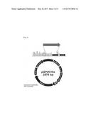 METHOD FOR MEASURING ENDOTOXIN diagram and image